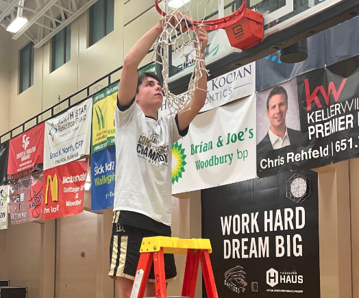 Cutting down the nets